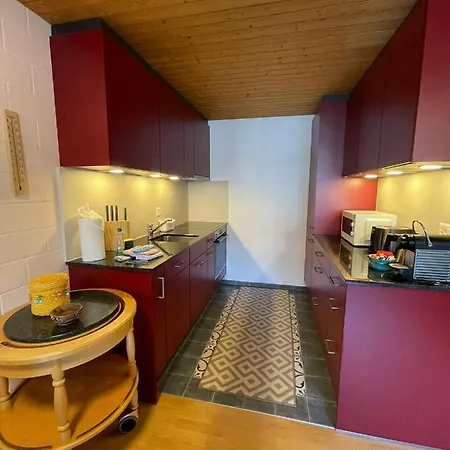Chalet Gruebi 2 벤겐