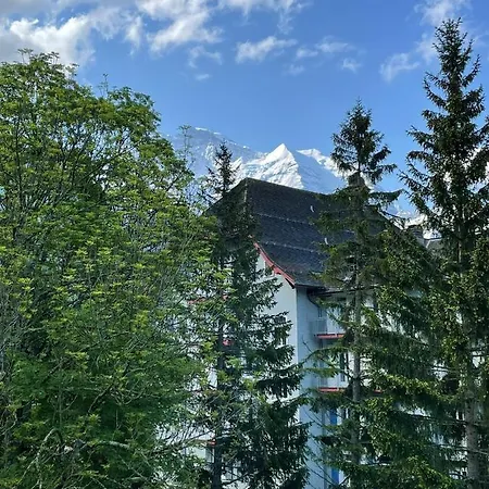 Chalet Gruebi 2 * 벤겐