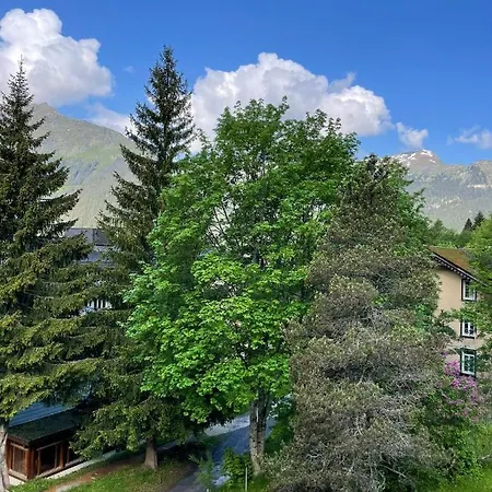 Apartment Chalet Gruebi 2 *